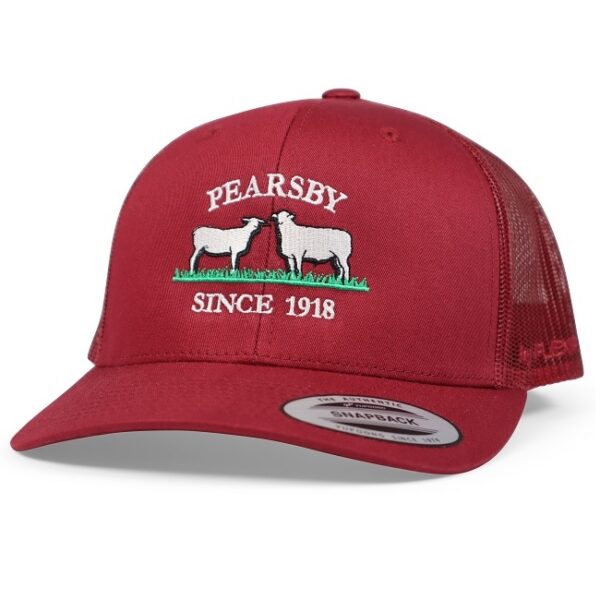 6606 Classic Retro Wade Trucker Hat